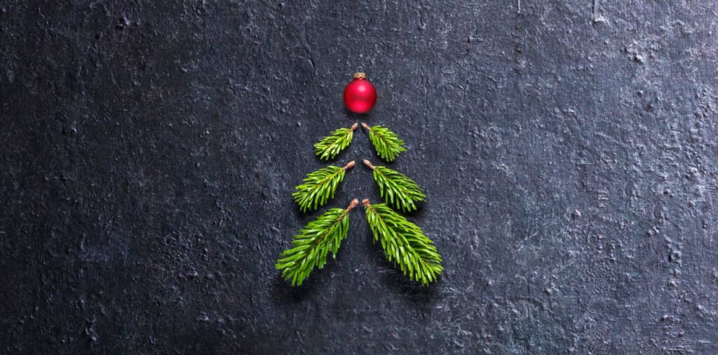 Weihnachten. Tannenzapfen und Deko auf Wandtafel.